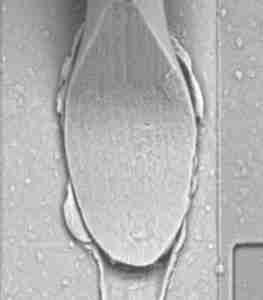 Scanning Electron Microscope (SEM) image showing an aluminum wedge bond on a semiconductor die, highlighting the bond’s precise attachment to the bond pad.